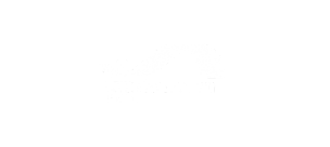 Untitled design (57)